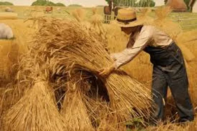 Illustration sheaf - Image 2