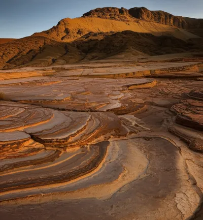 Illustration molasses - Image 1