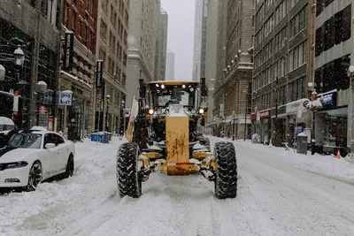 Illustration graders - Image 2