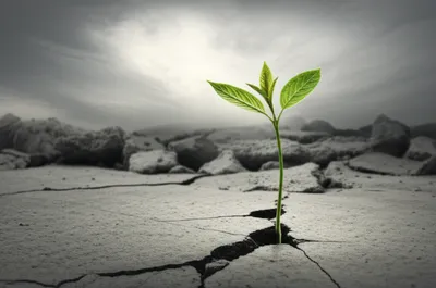 Illustration signifies - Image 1