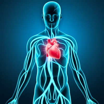 Illustration processes - Image 1