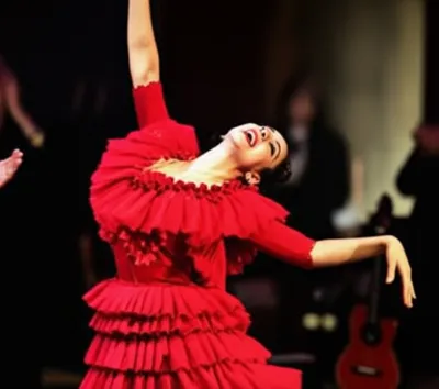 Illustration flamenco - Image 1
