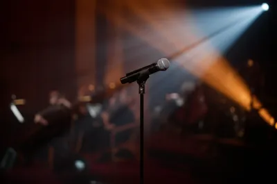 Illustration symphony - Image 1