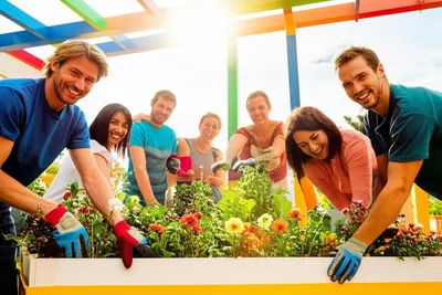 Illustration edifying