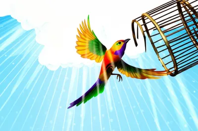 Illustration freeing