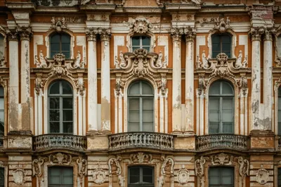 Illustration frontals - Image 1