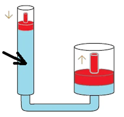 Illustration medium - Image 4