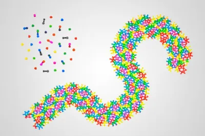 Illustration polymer - Image 1