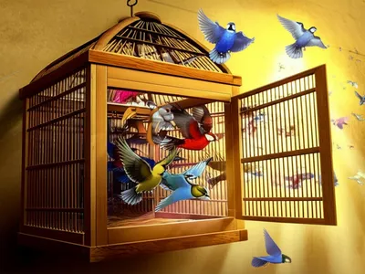 Illustration disbanding - Image 1