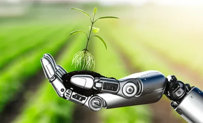 Illustration hands - Image 1