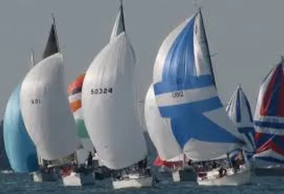 Illustration draw - Image 4