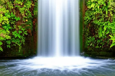 Illustration loose - Image 1