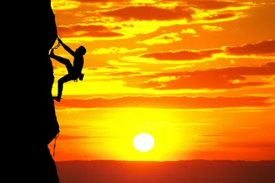 Illustration timbers - Image 1