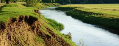 Illustration riverbanks