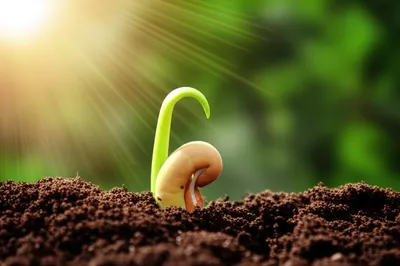 Illustration potential - Image 1