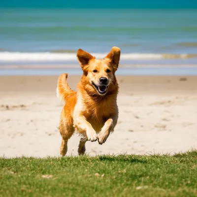 Illustration bounding - Image 1