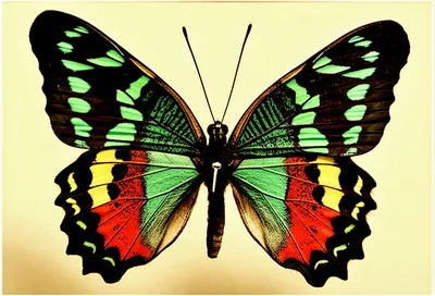 Illustration transfix - Image 1