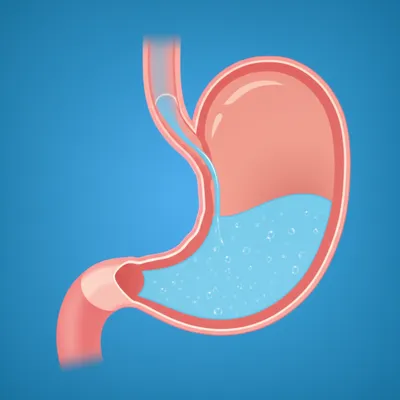 Illustration lavages - Image 1