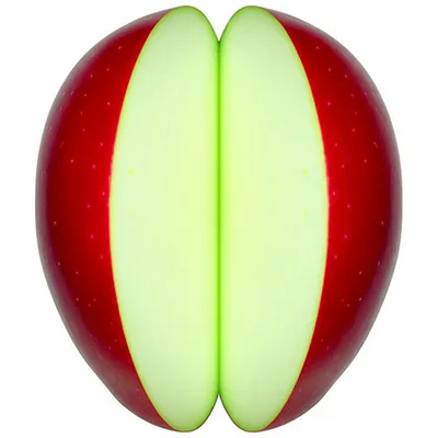 Illustration halve - Image 1