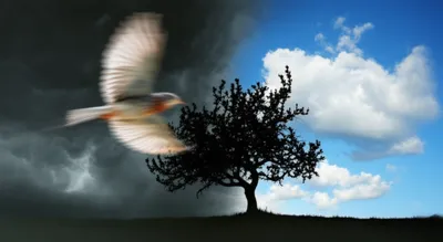 Illustration sat - Image 1