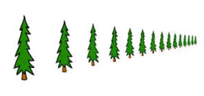 Hình ảnh minh họa lessen - Ảnh 2