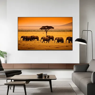 Illustration tv - Image 1