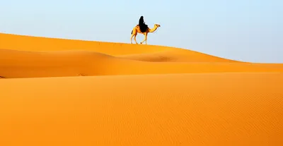 Illustration bedouin