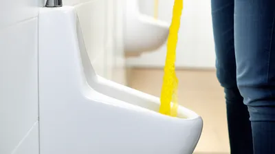 Illustration whiz - Image 1