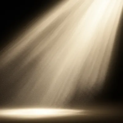 Illustration plumed - Image 1