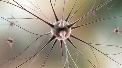 Illustration dendrite - Image 1