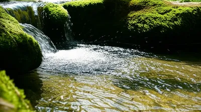 Illustration headed - Image 1