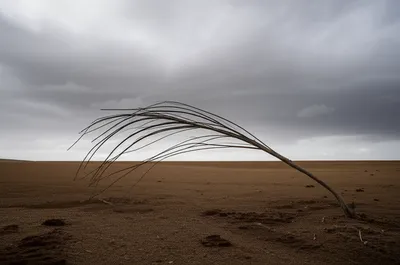 Illustration adversity - Image 1