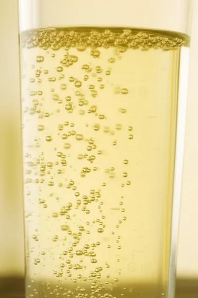 Illustration effervesce - Image 1