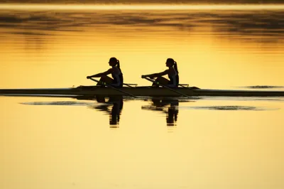 Illustration pair - Image 1