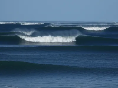 Illustration swells - Image 1