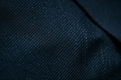 Illustration serge - Image 1