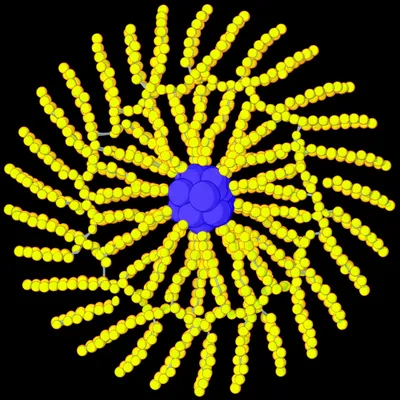 Illustration dendrons - Image 1