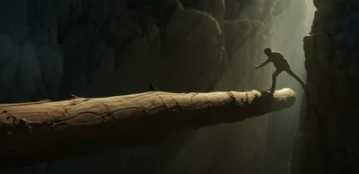 Illustration timber - Image 1