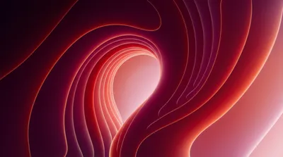 Illustration pharyngal - Image 1