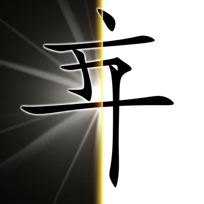 Illustration radicle - Image 1