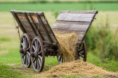 Illustration tumbril - Image 1