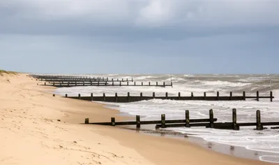 Illustration groins - Image 1