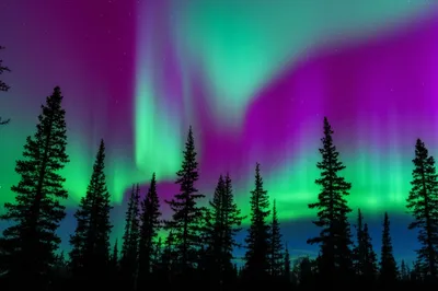 Illustration wonder - Image 1