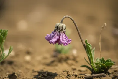 Illustration enervated - Image 1