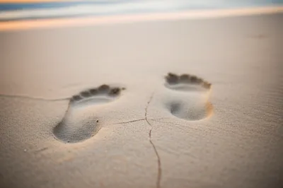 Illustration close - Image 1