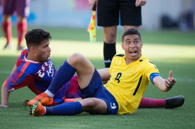 Illustration dive - Image 1