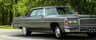 Illustration canoes - Image 1