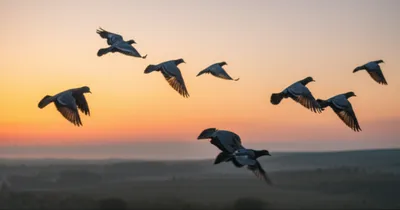 Illustration tippler - Image 1