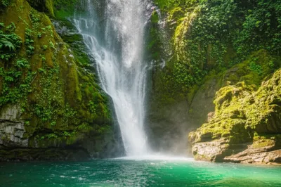 Illustration showered - Image 1