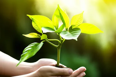 Illustration aided - Image 1